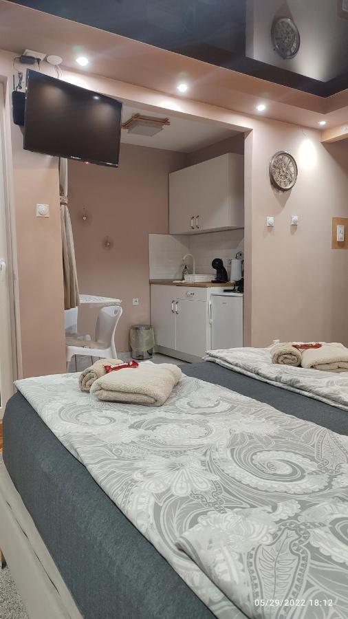 Iva Lux apartman Zaječar Extérieur photo